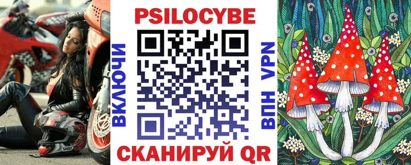 Галлюциногенные грибы Psilocybe  Купить закладки  Тейково 